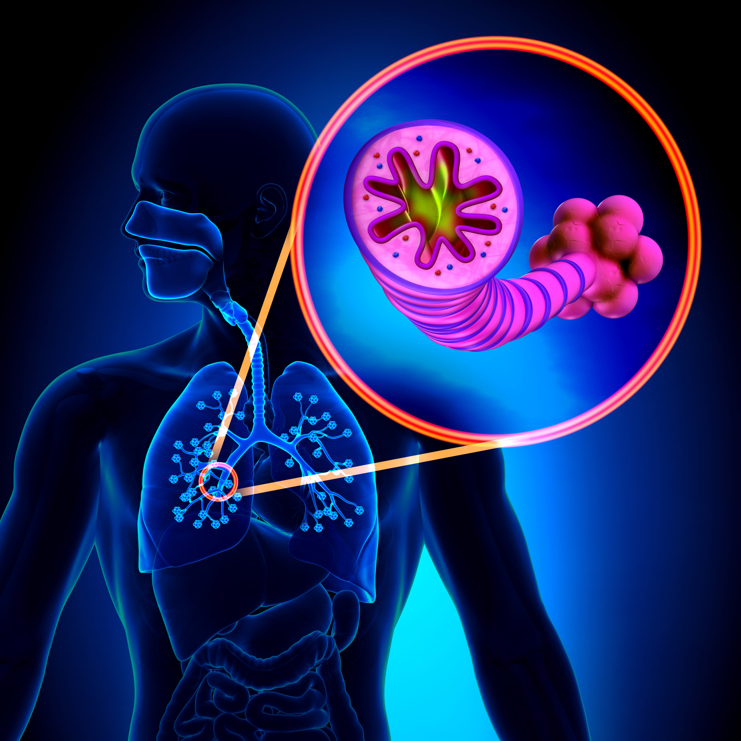 COPD అంటే ఏమిటి? దీన్ని ఎలా నివారించాలి?